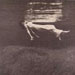 Bill Evans & Jim Holl - Undercurrent ^Cv2