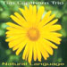 Tim Lapthorn - Natural Language